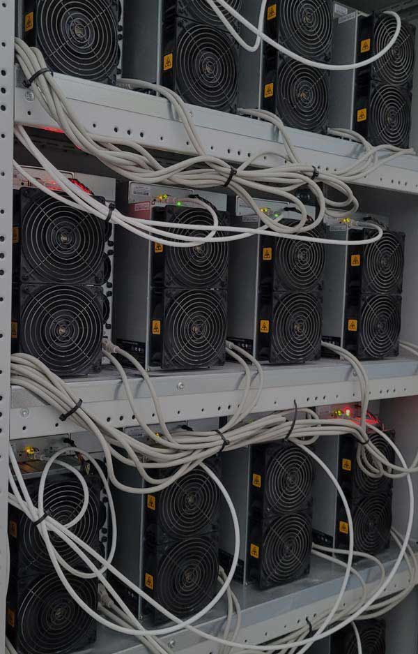 Rows of air-cooled Bitmain Antminer S19 Bitcoin mining machines operating in a well-ventilated and structured environment at Hamus Hosting facility.