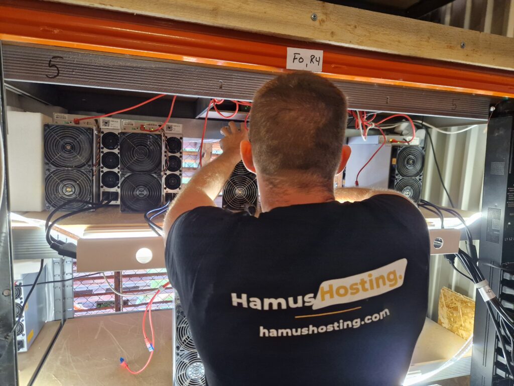 General conditions - Hamus Hosting
