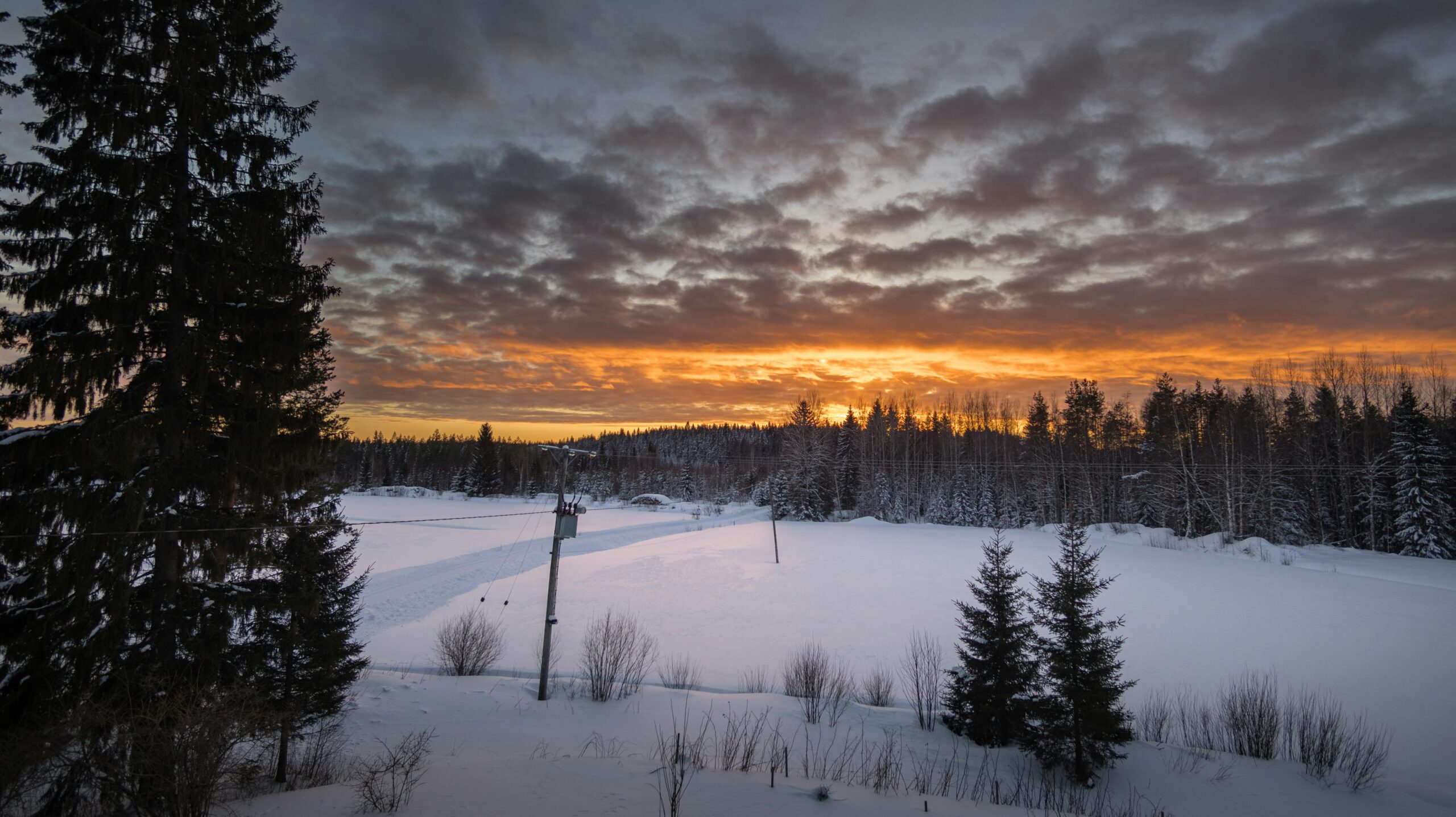 Sunset over the snow white area in a forest