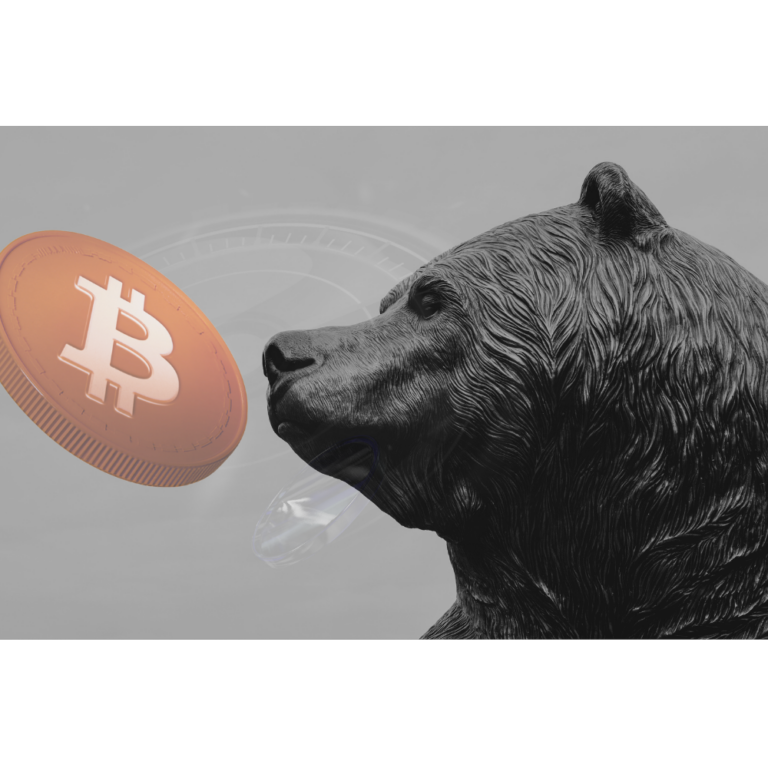 a bear and a bitcoin in a gray dark background illustrating 10 Things Crypto Miners Should Not Do in a Bear Market