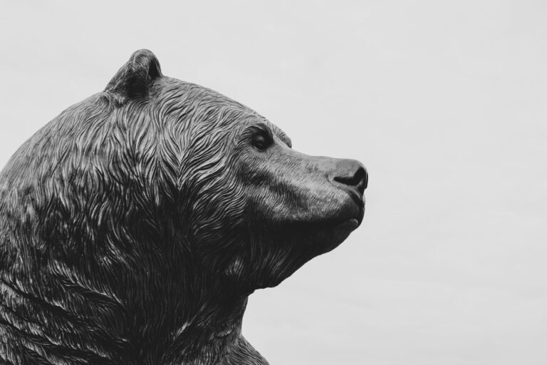 a brown bear representing the bear market in crypto: A bear market is a sustained period of declining stock prices, typically defined as a drop of \(20\%\) or more from recent highs,