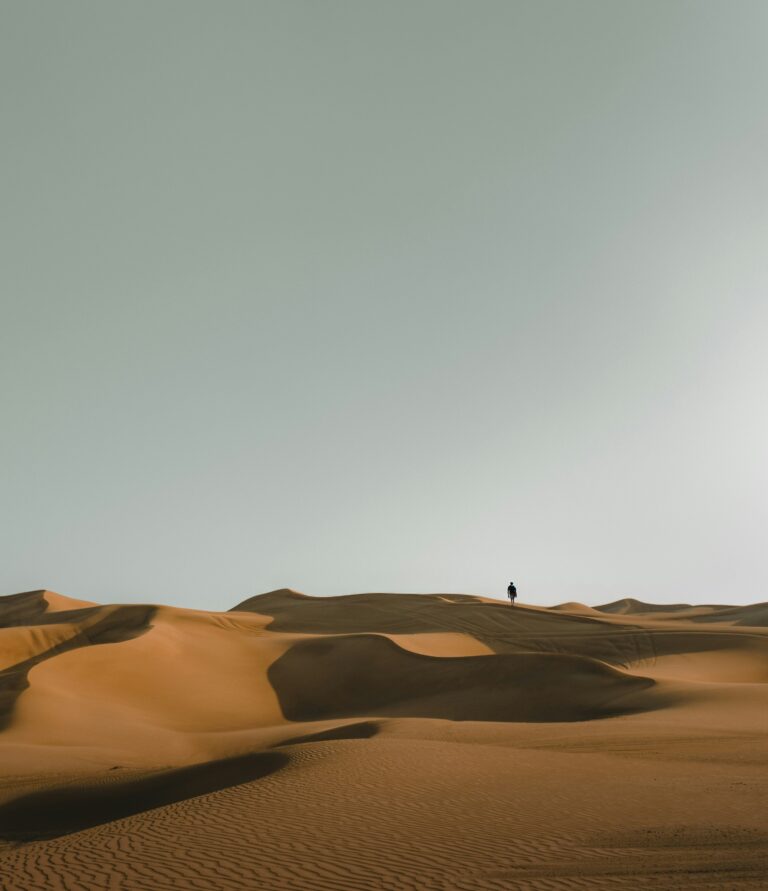 Warm climate in the UAE a sea of desert